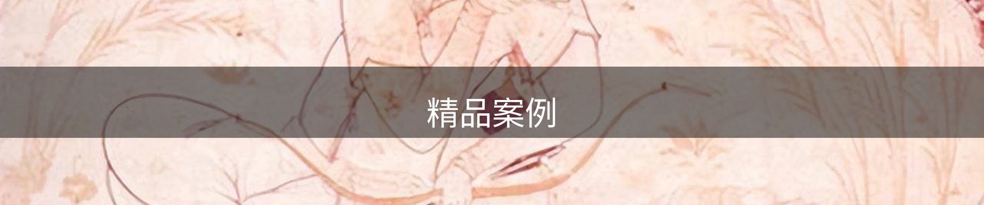 精品案例