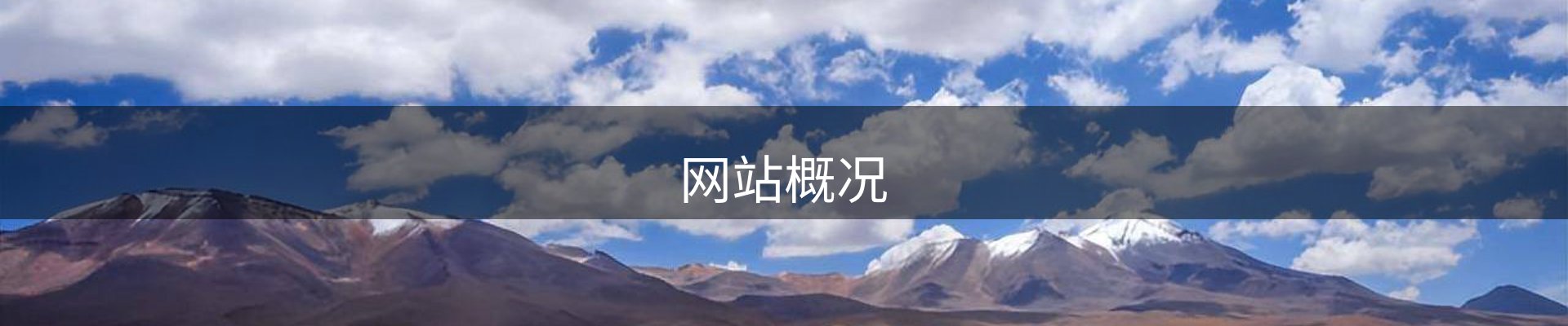 网站概况